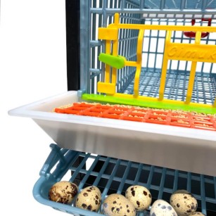 Cage Jumbo 1 Étage pour Caille Pondeuse | Eggceterra