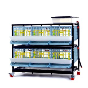 Cage 2 étages pour cailles pondeuses Jumbo | Eggceterra