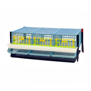 Cage Jumbo pour Cailles Pondeuses - Eggceterra Élevage