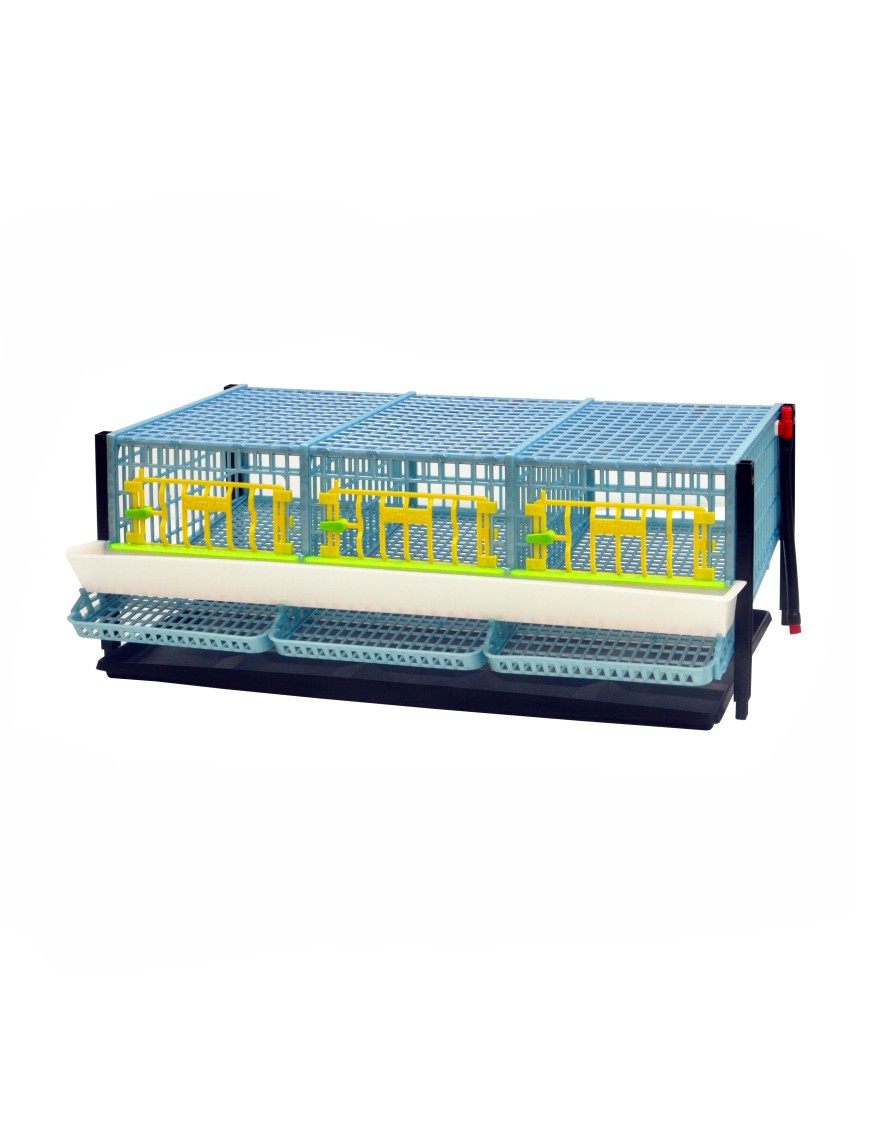 Cage Jumbo pour Cailles Pondeuses - Eggceterra Élevage