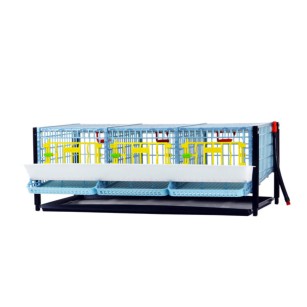 Cage Jumbo pour Cailles Pondeuses - Eggceterra Élevage