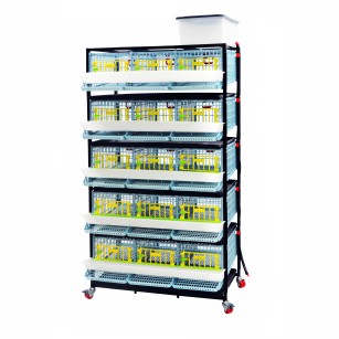 Cage Caille Jumbo 5 Étages - Élevage Pro chez Eggceterra