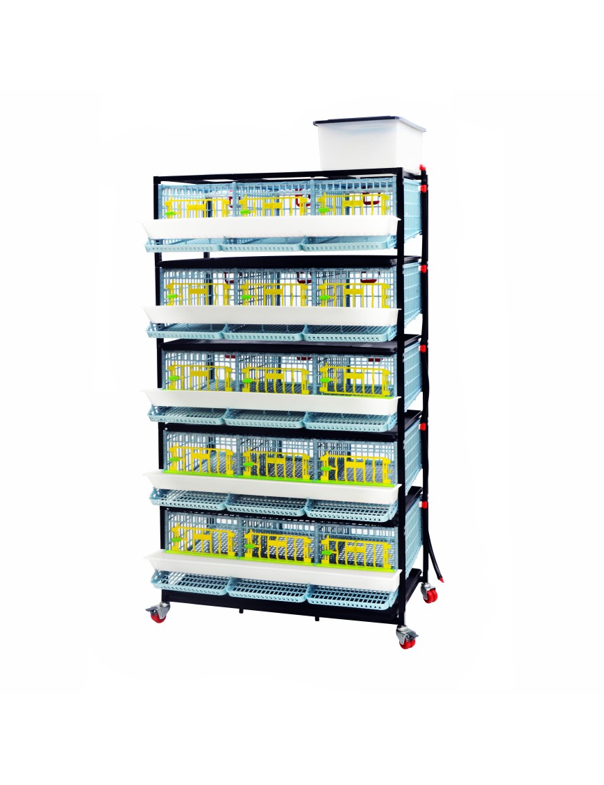 Cage Caille Jumbo 5 Étages - Élevage Pro chez Eggceterra