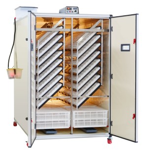 Couveuse T4800C Eggceterra - Élevage Facile & Efficace