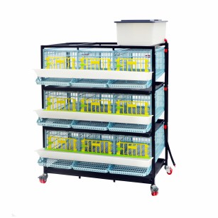 Cage caille Jumbo 3 étages - Eggceterra élevage optimal
