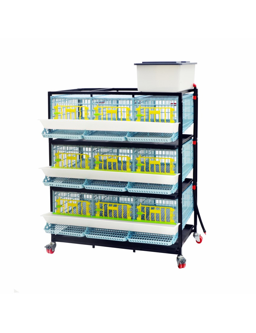 Cage caille Jumbo 3 étages - Eggceterra élevage optimal