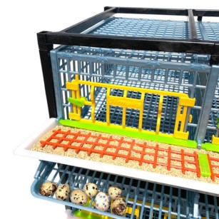Cage caille Jumbo 3 étages - Eggceterra élevage optimal