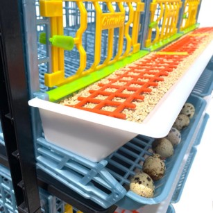 Cage caille Jumbo 3 étages - Eggceterra élevage optimal