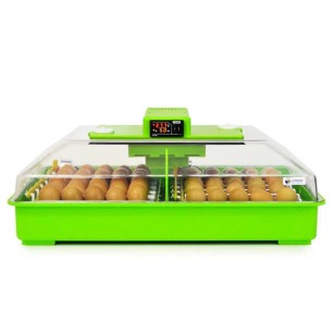 Couveuse Automatique PD60SH - Qualité Eggceterra