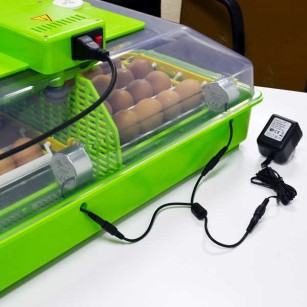 Couveuse Automatique PD60SH - Qualité Eggceterra