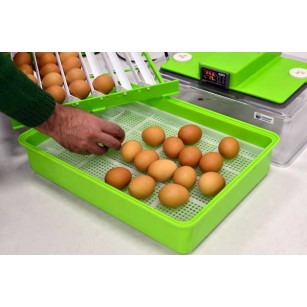 Couveuse automatique PD30SH - Incubation experte│Eggceterra