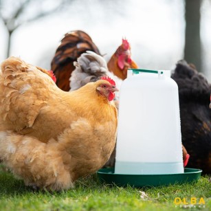 Abreuvoir 10L pour Volailles - Haute Qualité Eggceterra