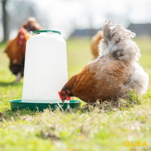 Abreuvoir 10L pour Volailles - Haute Qualité Eggceterra