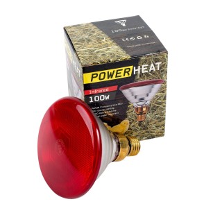 Ampoule Infrarouge 175W Powerheat pour Élevage - Eggceterra