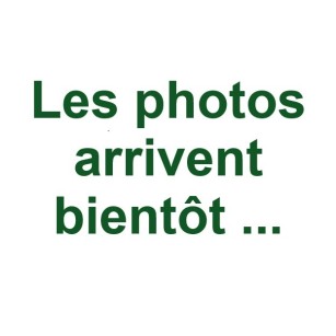 Base plumeuse poulet, dinde, oie taille L | Eggceterra