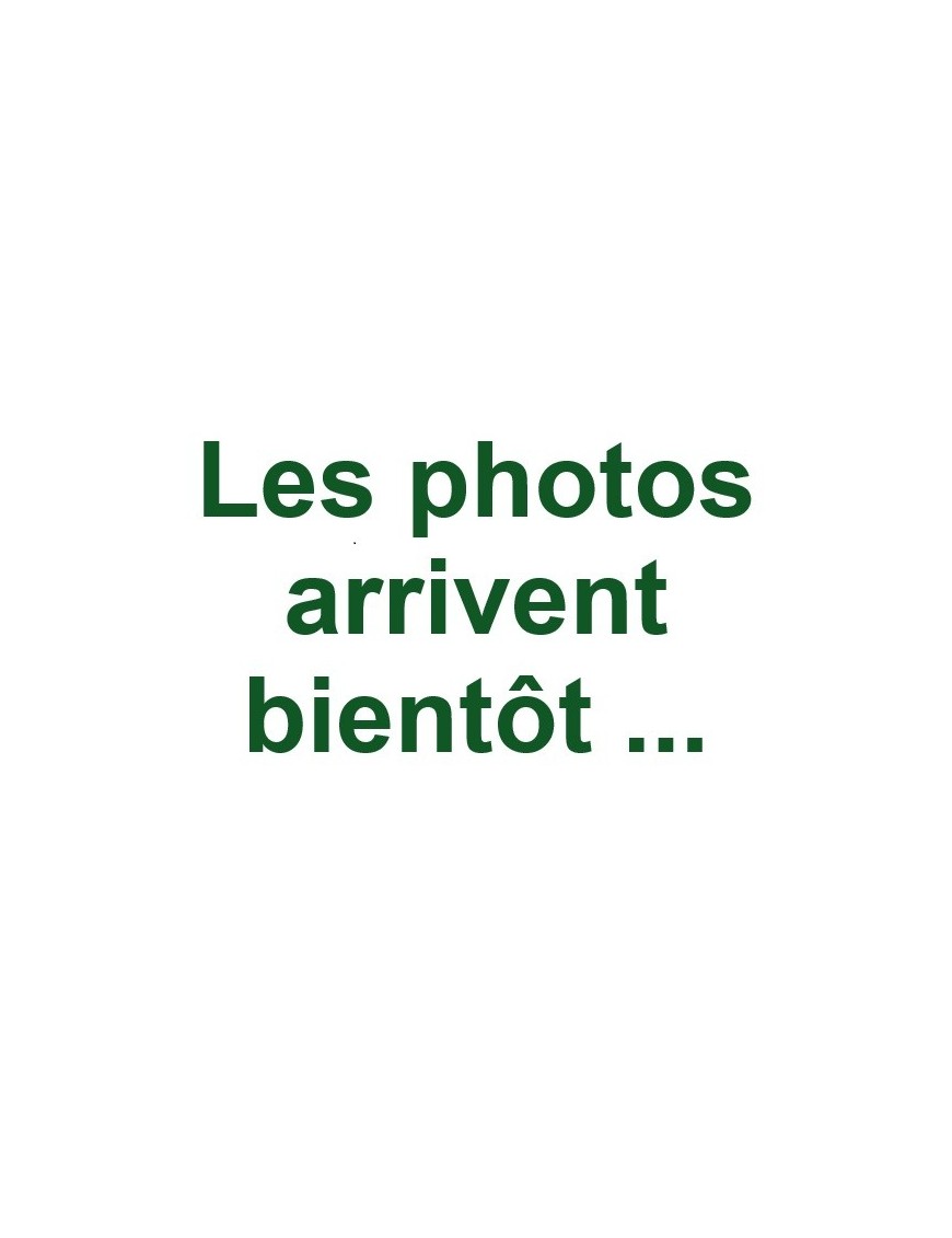 Base plumeuse poulet, dinde, oie taille L | Eggceterra Base plumeuse poulet, dinde, oie taille L | Eggceterra