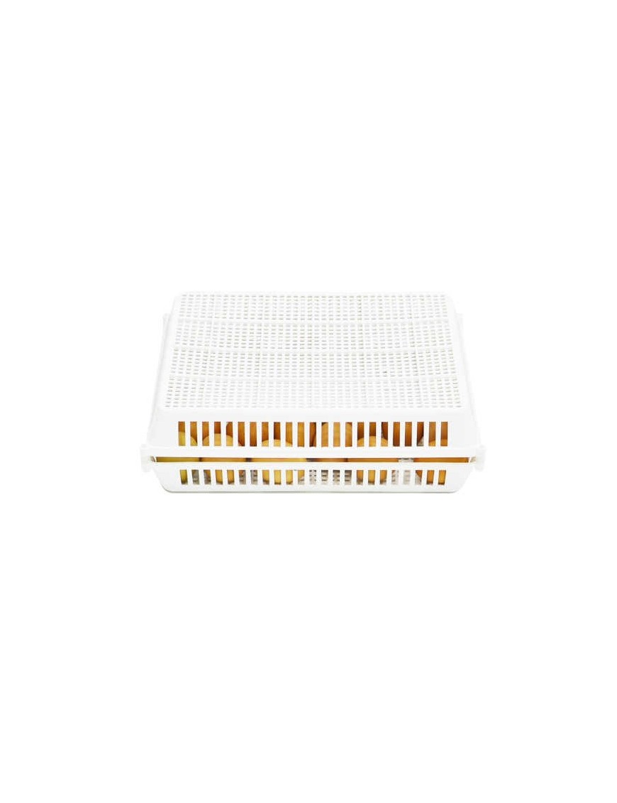Panier d'éclosion 30 œufs CS30Y - Eggceterra éleveurs