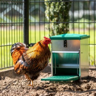 Mangeoire Feedomatic 8 kg avec protection anti-rats.