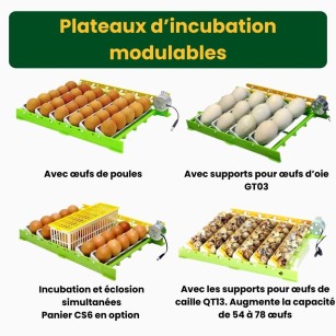 Couveuse Automatique CT120SH - Élevage Pro chez Eggceterra