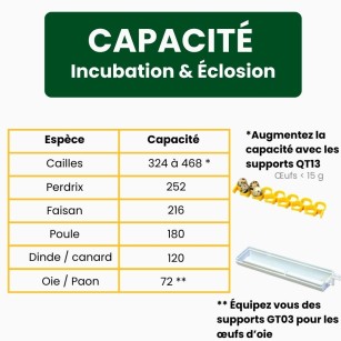 Couveuse CT180SH Eggceterra - Élevage Automatique Efficace