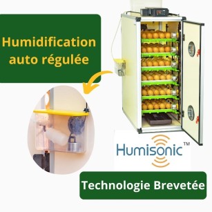 Couveuse CT180SH Eggceterra - Élevage Automatique Efficace