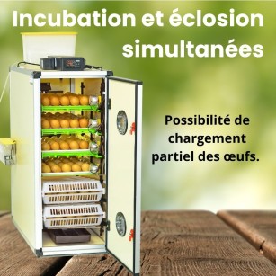 Couveuse CT180SH Eggceterra - Élevage Automatique Efficace
