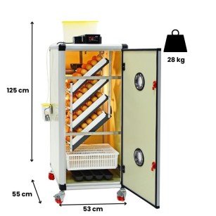 Couveuse automatique HB175C - Élevage facile Eggceterra