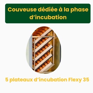 Couveuse Automatique HB175S - Éleveurs Eggceterra