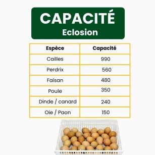 Eclosoir HB350H - Incubateur performant | Eggceterra