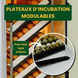Couveuse automatique HB350C | Eggceterra élevage optimisé