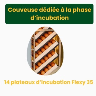 Couveuse Automatique HB500S - Eggceterra Élevage Expert