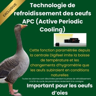 Couveuse Automatique HB500C - Performance et Fiabilité