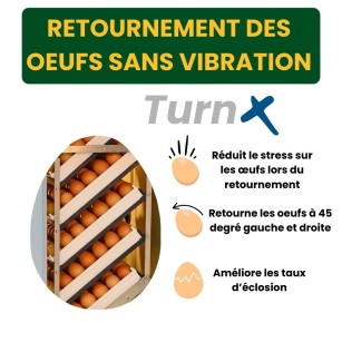 Couveuse Automatique HB700C - Élevage Expert Eggceterra