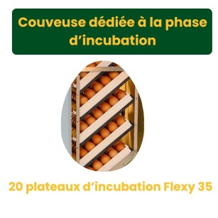 Couveuse Automatique HB700S - Élevage Efficace Eggceterra