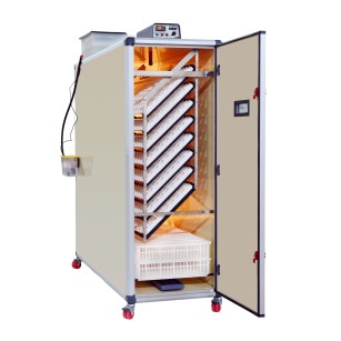 Couveuse automatique T2400C | Élevage simplifié Eggceterra