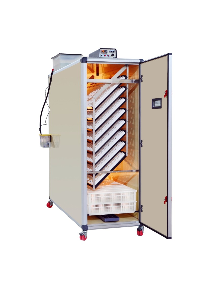 Couveuse automatique T2400C | Élevage simplifié Eggceterra