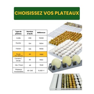 Couveuse T4800C Eggceterra - Élevage Facile & Efficace