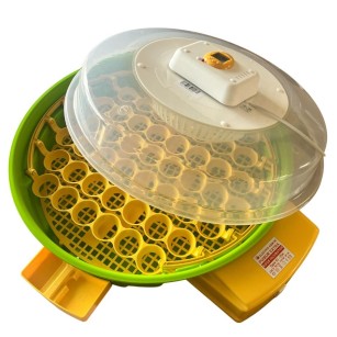 Couveuse IO-204 Eggceterra : Thermostat Réglable