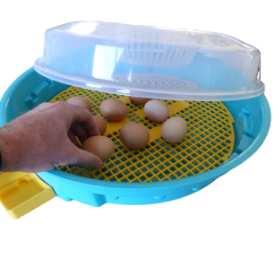 Couveuse IO-202 avec thermostat réglable | Eggceterra