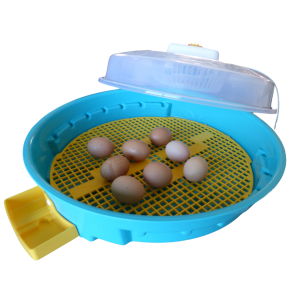 Couveuse IO-202 avec thermostat réglable | Eggceterra