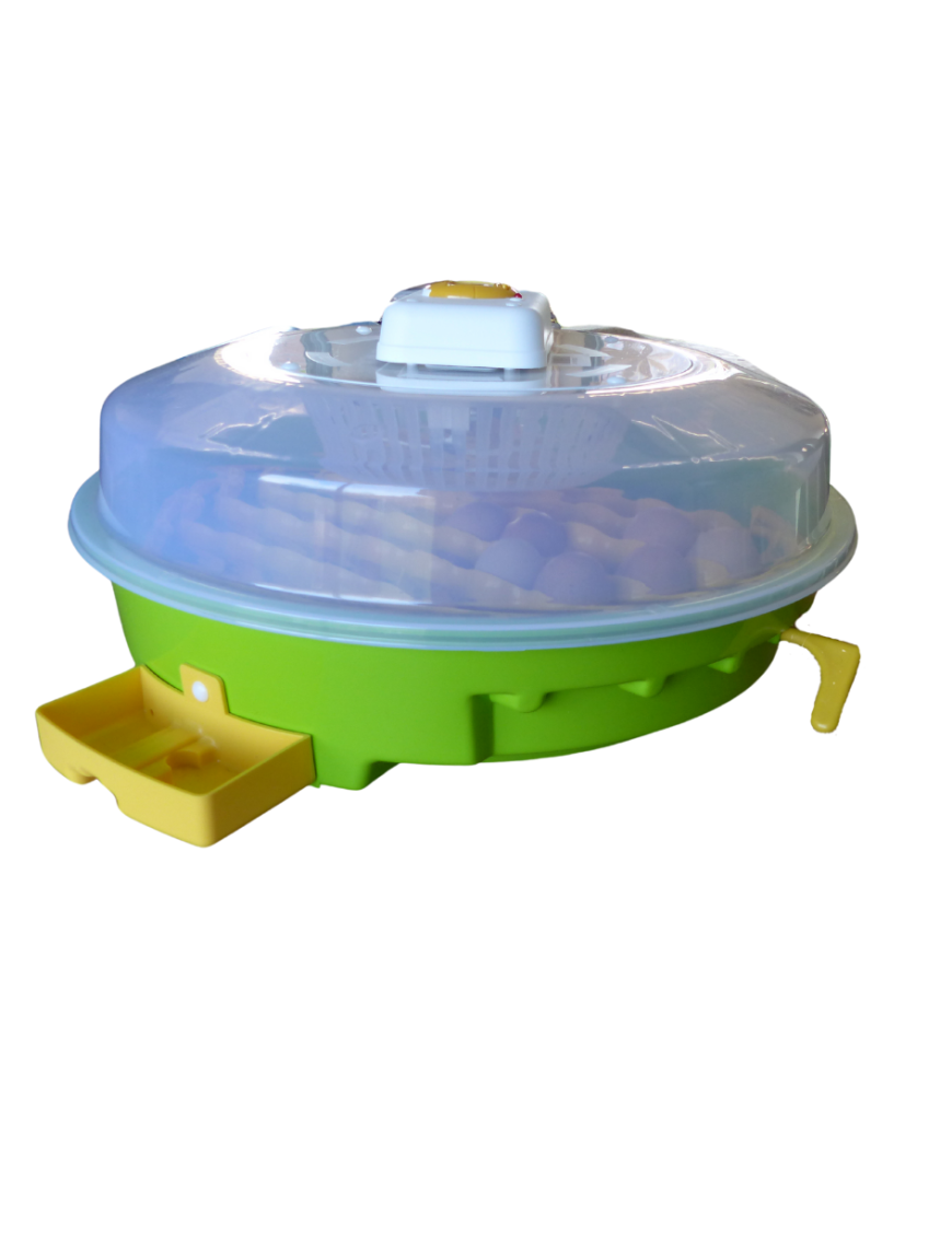 Couveuse IO-203 à thermostat ajustable - Eggceterra