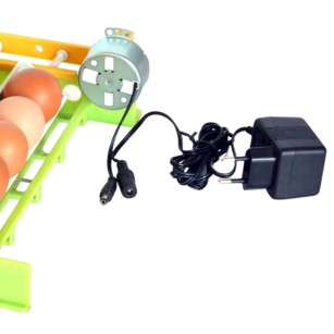 Plateau CNT30 & Adaptateur - Eggceterra Élevage