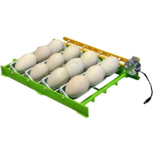 Plateau CNT12 pour œufs d'oies | Eggceterra Élevage