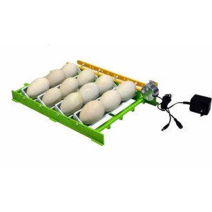 Plateau CNT12 œufs d'oies avec adaptateur - Eggceterra