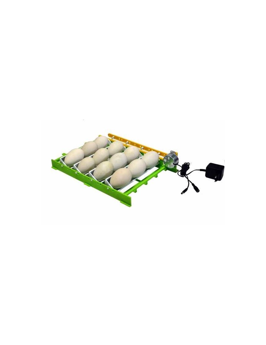 Plateau CNT12 œufs d'oies avec adaptateur - Eggceterra Plateau CNT12 œufs d'oies avec adaptateur - Eggceterra