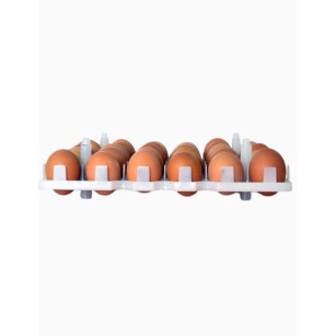 Plateau Incubation 36 Œufs - Élevage Facile | Eggceterra