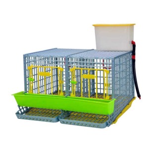 Cage Poule Pondeuse 2 Sections 40cm | Eggceterra
