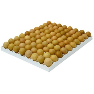 Plateau d'incubation 80 œufs | Eggceterra Élevage