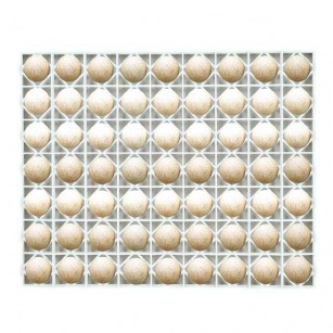 Plateau incubation 63 œufs - Spécial dinde ou cane Eggceterra