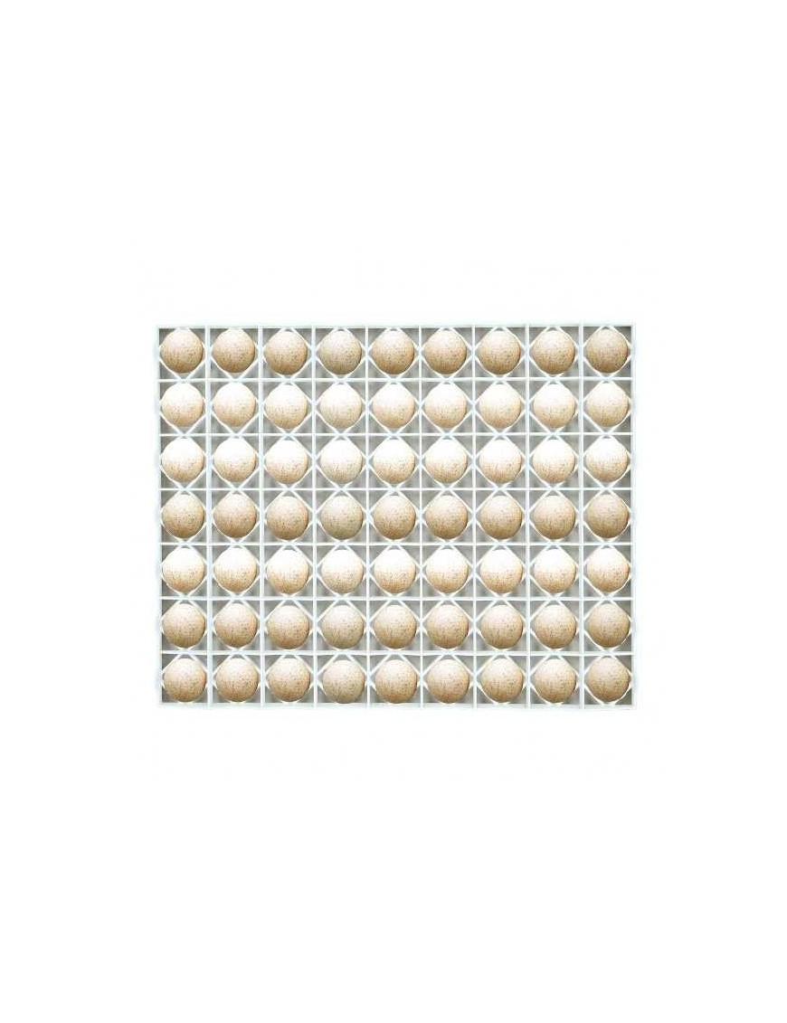 Plateau incubation 63 œufs - Spécial dinde ou cane Eggceterra Plateau incubation 63 œufs - Spécial dinde ou cane Eggceterra